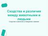 Сходства и различия между животными и людьми