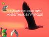 Взаимоотношения животных в природе
