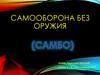 Самооборона без оружия (самбо)