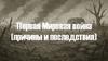Первая Мировая война (причины и последствия)