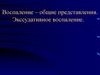 Воспаление – общие представления. Экссудативное воспаление