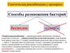 Способы размножения бактерий. Генетическая рекомбинация