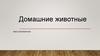 Домашние животные