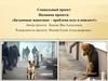 Бездомные животные - проблема всех и каждого
