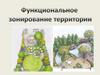 Функциональное зонирование территории