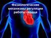 Физиологические механизмы регуляции работы сердца
