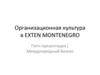 Организационная культура Exten Montenegro
