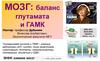 Глутаминовая кислота и ГАМК