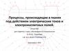 Процессы, происходящие в тканях под действием электрических токов и электромагнитных полей