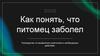 Как понять, что питомец заболел? Сигналы тревоги и первая помощь для владельцев домашних животных