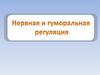 Нервная и гуморальная регуляция