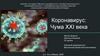 Коронавирус: Чума XXI века