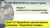 Модуль 7 Безопасность в природной среде