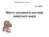 Место человека в системе животного мира