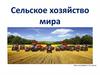 Сельское хозяйство мира (10 класс)