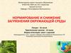 Нормирование и снижение загрязнения окружающей среды