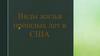 Виды жилья прошлых лет в США