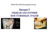 Общая анатомия постоянных зубов. Лекция 7