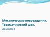 Механические повреждения. Травматический шок