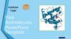 Free Biomolecules PowerPoint Template