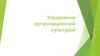 Управление организационной культурой