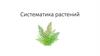 Систематика растений