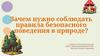 Зачем нужно соблюдать правила безопасного поведения в природе?