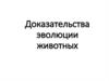 Доказательства эволюции животных