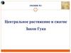 Центральное растяжение и сжатие Закон Гука. Лекция №2