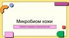 Микробиом кожи. Влияние на здоровье и внешний вид кожи