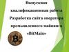 Разработка сайта оператора промышленного майнинга «BitMain». Выпускная квалификационная работа