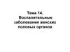 Воспалительные заболевания женских половых органов. Тема 14