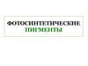 Фотосинтетические пигменты. Хлорофиллы