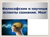 Философские и научные аспекты сознания. Мозг