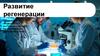 Развитие регенерации
