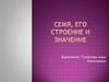 Семя, его строение и значение