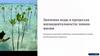 Значение воды в процессах жизнедеятельности: химия жизни