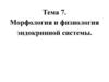 Тема 7. Морфология и физиология эндокринной системы