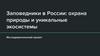 Заповедники в России: охрана природы и уникальные экосистемы