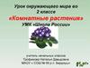 Комнатные растения