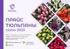 Прайс тюльпаны. Сезон 2025