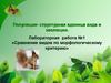 Сравнение видов по морфологическому критерию. Лабораторная работа №1