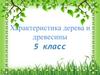 Характеристика дерева и древесины