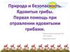 Природа и безопасность. Ядовитые грибы. Первая помощь при отравлении ядовитыми грибами