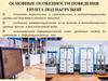 Основные особенности поведения грунта под нагрузкой
