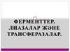 Ферменттер. Лиазалар және трансферазалар