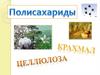Полисахариды