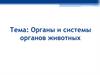 Органы и системы органов животных