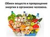Обмен веществ и превращение энергии в организме человека