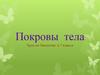 Покровы тела